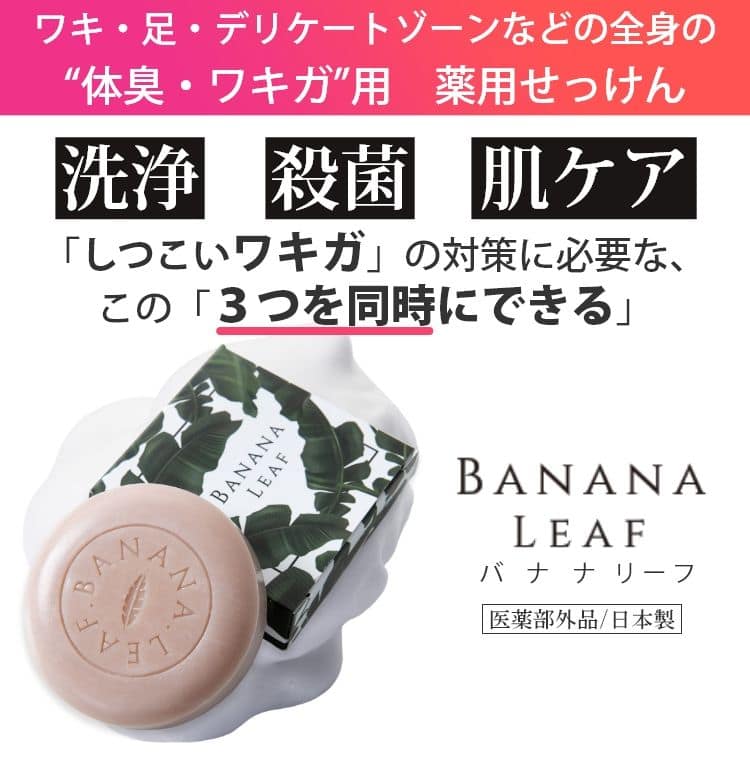 BANANA LEAF石鹸4個セット