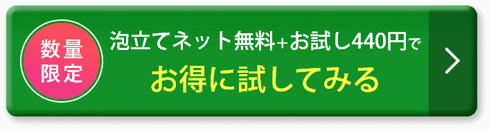 泡立てネット付き定期コースに申し込む